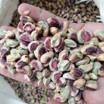 Direct Supply of Pistachios Without Shell - Nutex Co