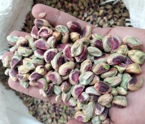 Direct Supply of Pistachios Without Shell - Nutex Co