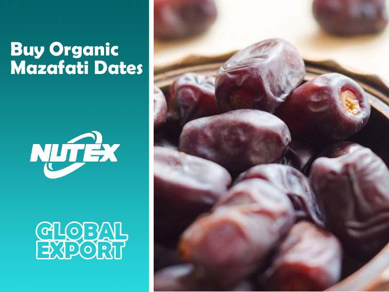 Buy Organic Mazafati Dates - Iran Dates Wholesale Supplier - Nutex Dates