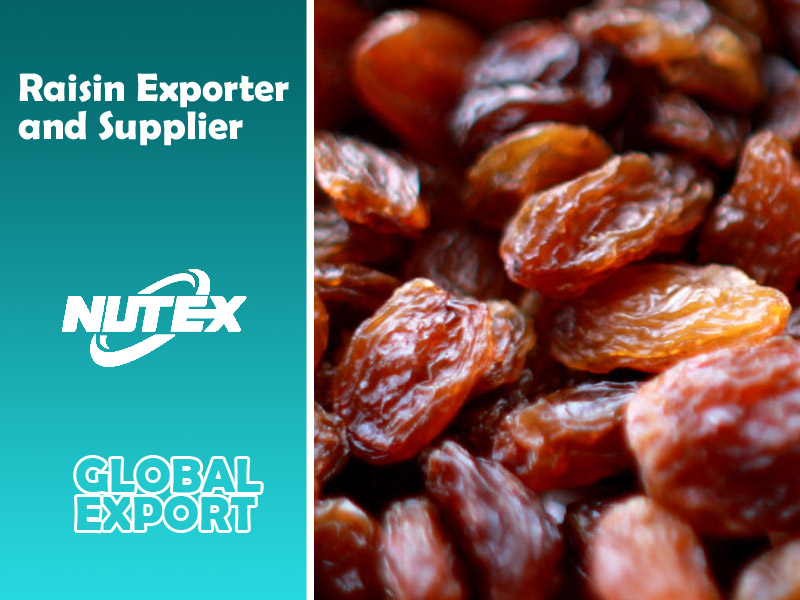Raisin Exporter and Supplier Company in Iran - NUTEX