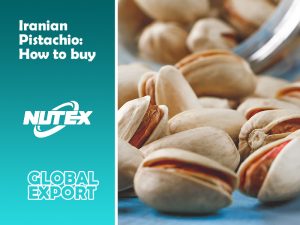 Iranian Pistachio: How to buy pistachios from Iran?Nutex Company