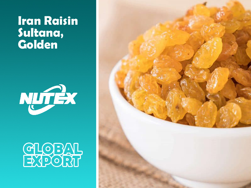 Iran Raisin | Sultana‚Golden & Green Raisin From Iran | Nutex
