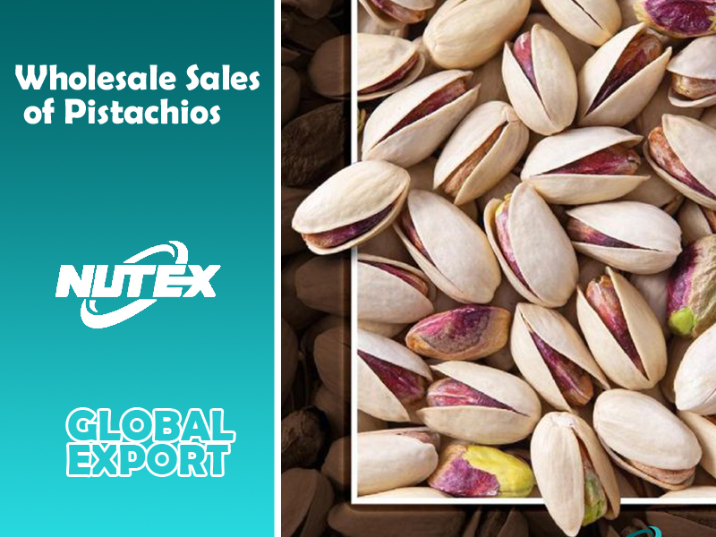 Wholesale Sales of Pistachios in Tehran‚Iran - Nutex Nuts