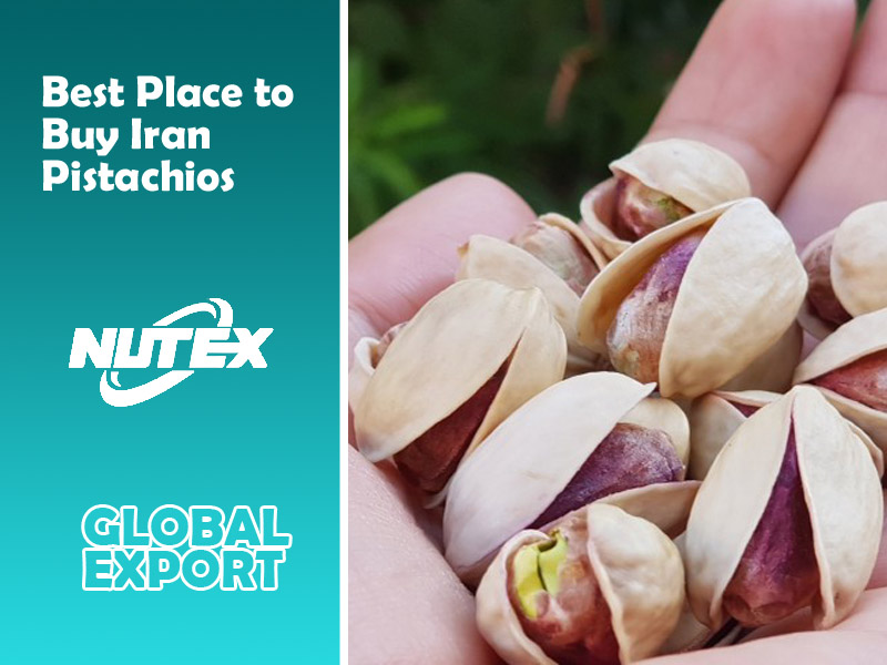 Best Place to Buy Iran Pistachios in Bulk - Nutex Pistachio Co