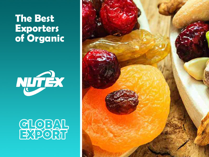 The Best Exporters of Organic Dried Fruits from Iran to Europe: NUTEX