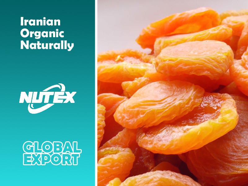 Iranian Organic Naturally Sun Dried Apricot - Wholesale in 2022- Nutex Company