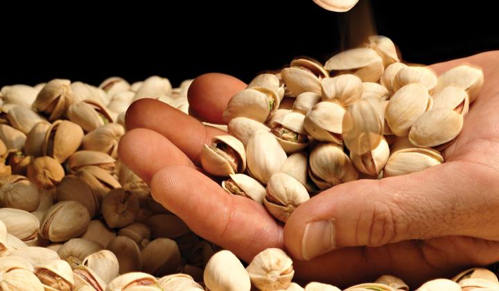 Buy Quality Pistachios from American Farms - Nutex Pistachio