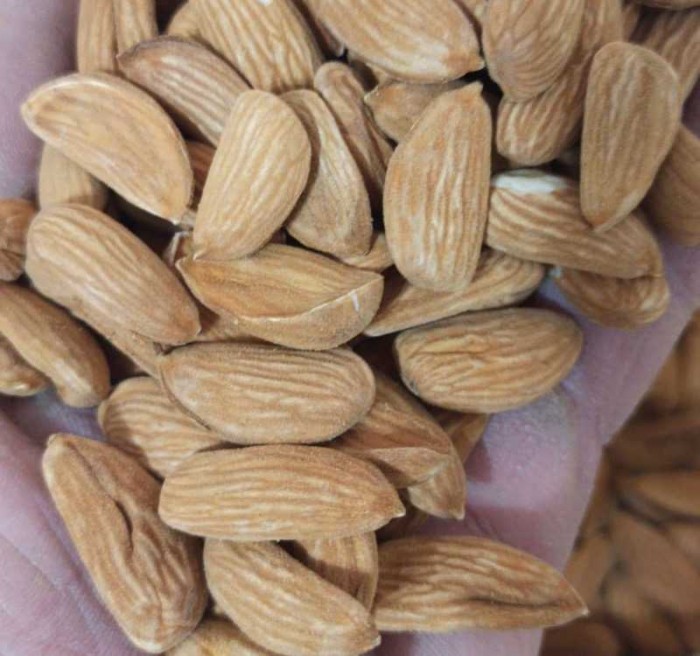 Almond production centers for export - Iranian Export Almond Distributors - Nutex Almonds