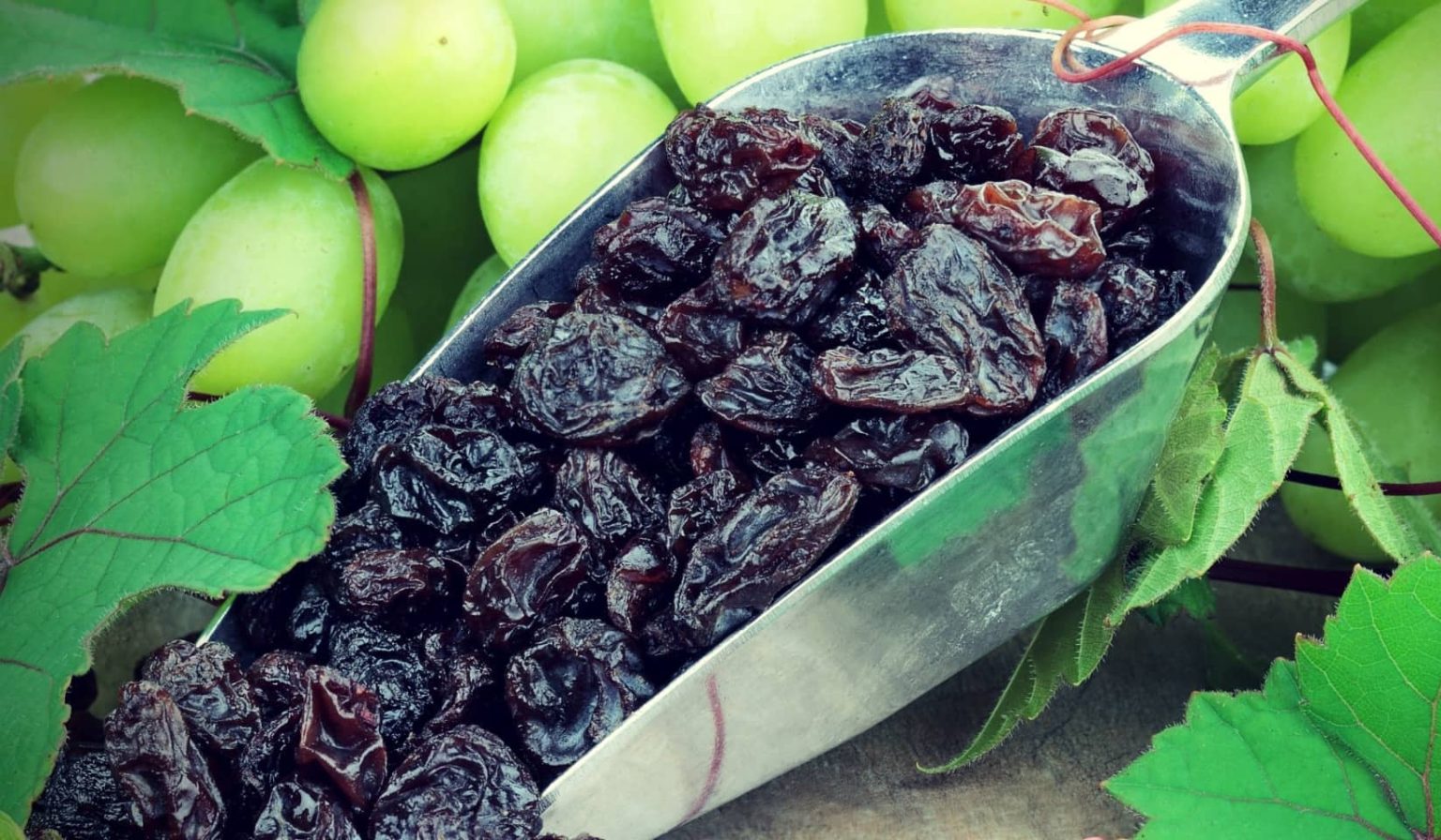 Black Raisins Health Benefits, Uses - Nutex Raisins