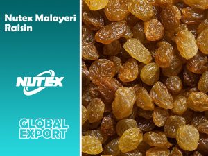 Nutex Malayeri Raisin - Sultana Raisins - Iranian Raisins