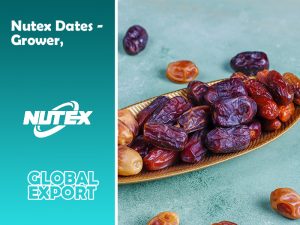 Nutex Dates