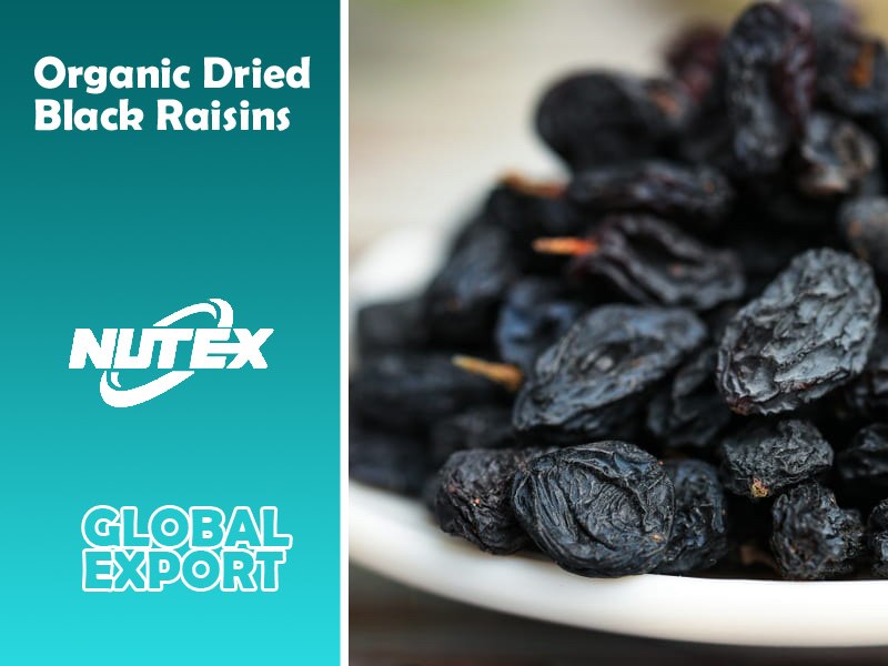 Organic Dried Black Raisins for Sale - Nutex Raisins