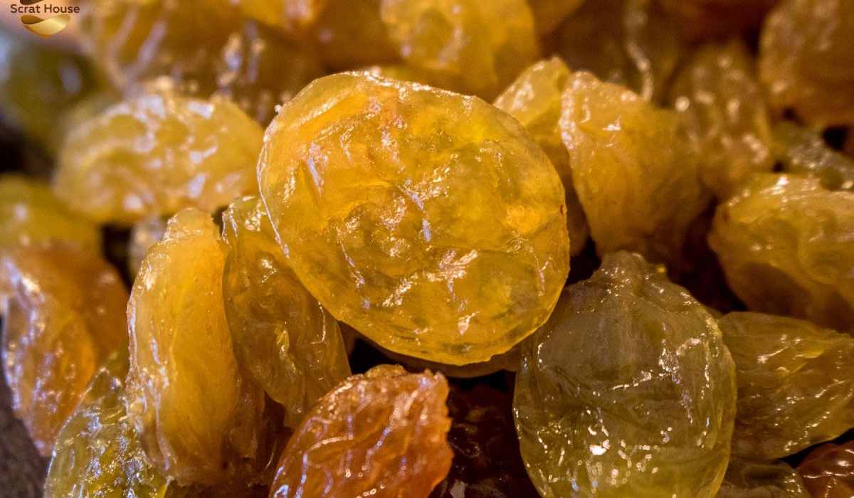 Where to Buy Iranian Golden Raisins? NUTEX COMPANY