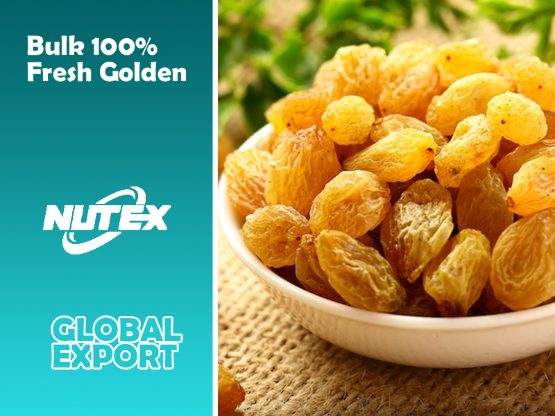 Bulk 100% Fresh Golden Raisin | Iranian Raisin Producer Company - Nutex