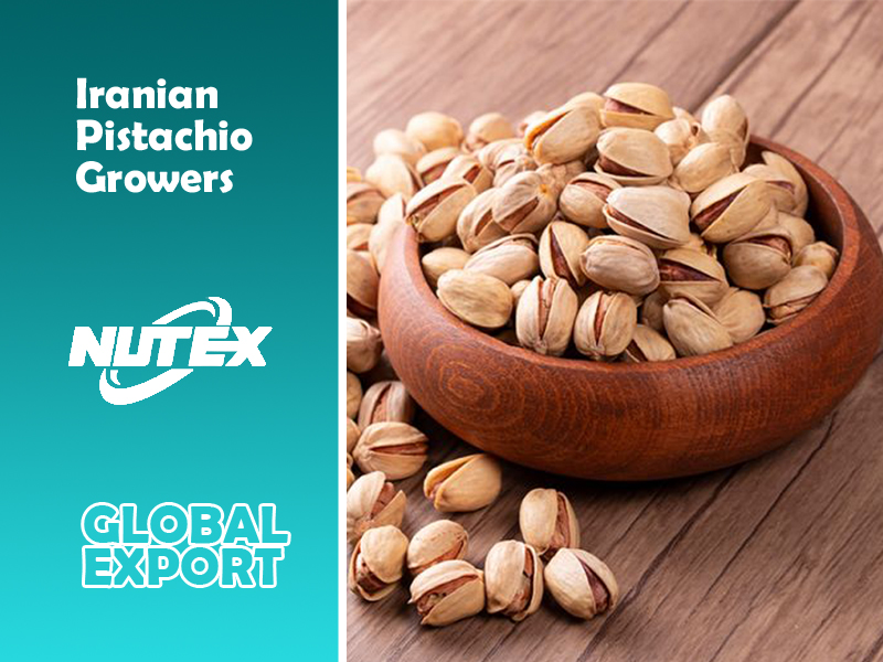 Iranian Pistachio Growers & Exporters | Nutex Pistachio Company