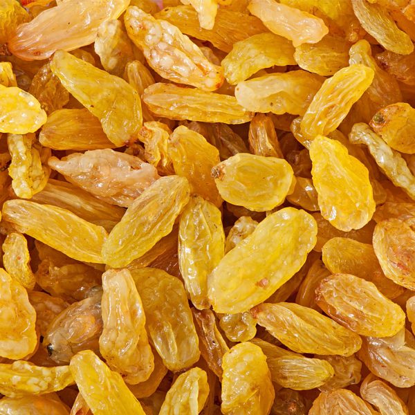 Golden Long Raisin Wholesale+Price - Nutex Dried Fruits