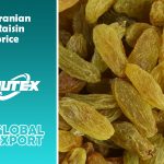 Iranian Raisin price Wholesale Per Ton Box | Nutex Raisins