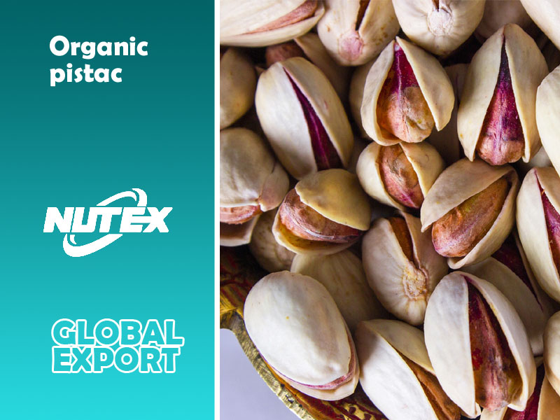 Organic pistachio from Rafsanjan‚ Iran | Pouya Trading Co(Nutex)