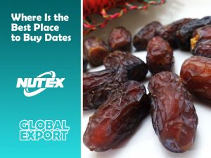 Where Is the Best Place to Buy Wholesale Dates in the Iran? - Nutex Company