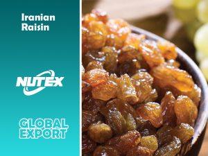 Iranian Raisin | Price & Buy Raisin - Nutex Company
