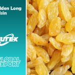 Golden Long Raisin Wholesale+Price - Nutex Dried Fruits