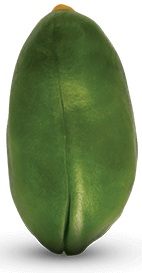 Green Peeled Pistachio Kernel:Nutex Pistachio Company: Organic Pistachios