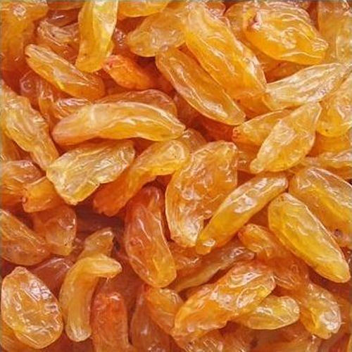 Golden Long Raisins Wholesale Price - Golden Long Raisin Wholesale+Price - Nutex Dried Fruits