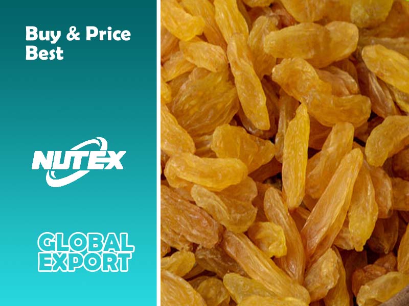 Buy & Price Best Organic Kashmari Golden Raisins - Nutex Dried Fruits