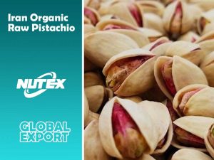 Iran Organic Raw Pistachio + Best Buy Price - Nutex pistachio