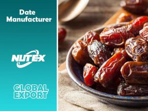 Date Manufacturer and Supplier in the Iran - Nutex Dates