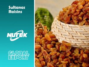 Sultanas Raisins Where to Buy - Major Dried Fruits Supply - Nutex raisins company