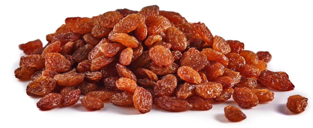 Sultanas Raisins Where to Buy - Major Dried Fruits Supply - Nutex raisins company