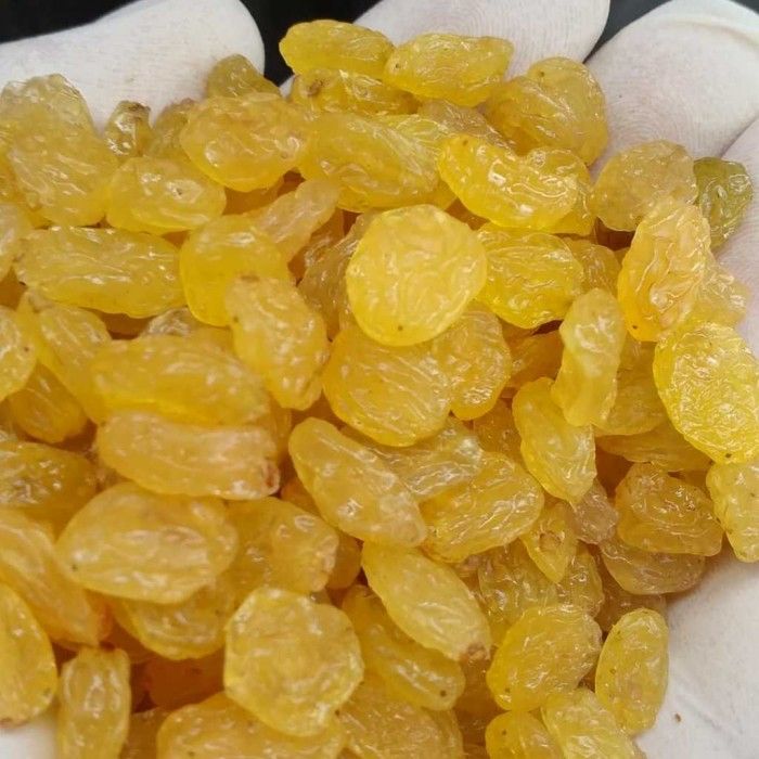 Golden Raisins | Export, Supply, Packing | Nutex Raisins