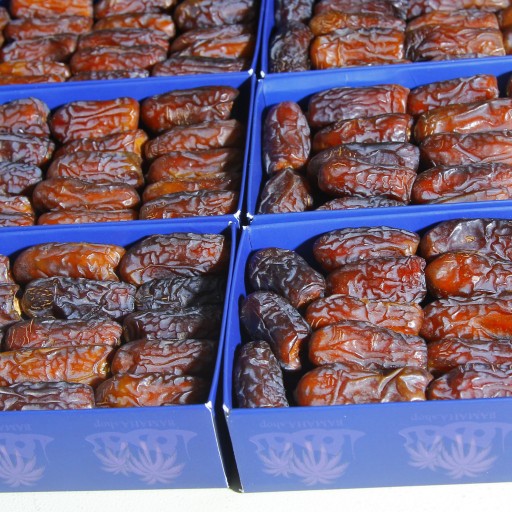 Packing Piarom Date -Piarom Dates Packaging & Production - Nutex Dates (wholesale)