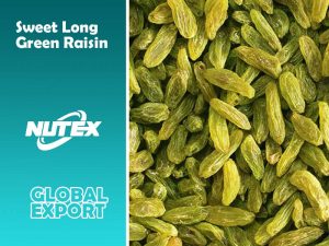 Sweet Long Green Raisin Supplier from Iran - Nutex Dried Fruits