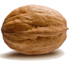 walnut_PNG23